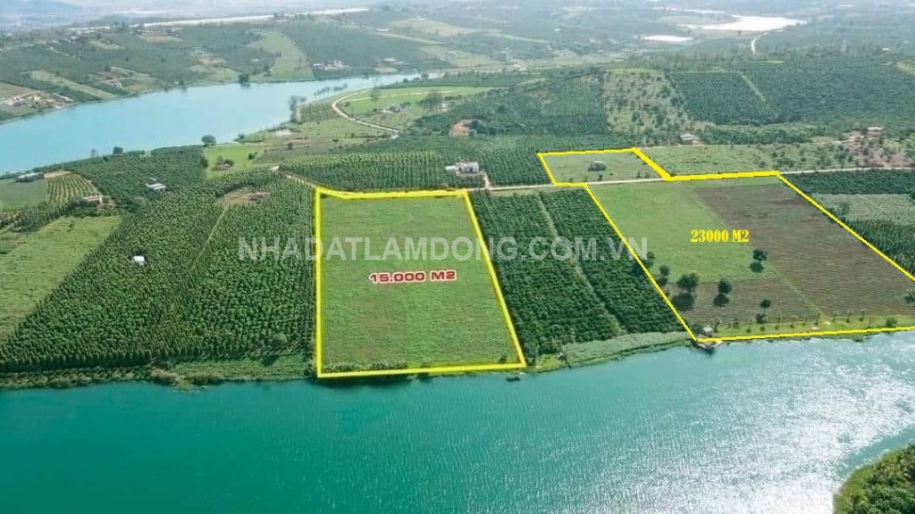  Bán Lô Đất Phân Lô 1,5 Hecta – Giá ngộp