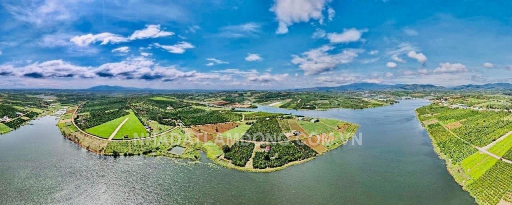  Bán Lô Đất Phân Lô 1,5 Hecta – Giá ngộp