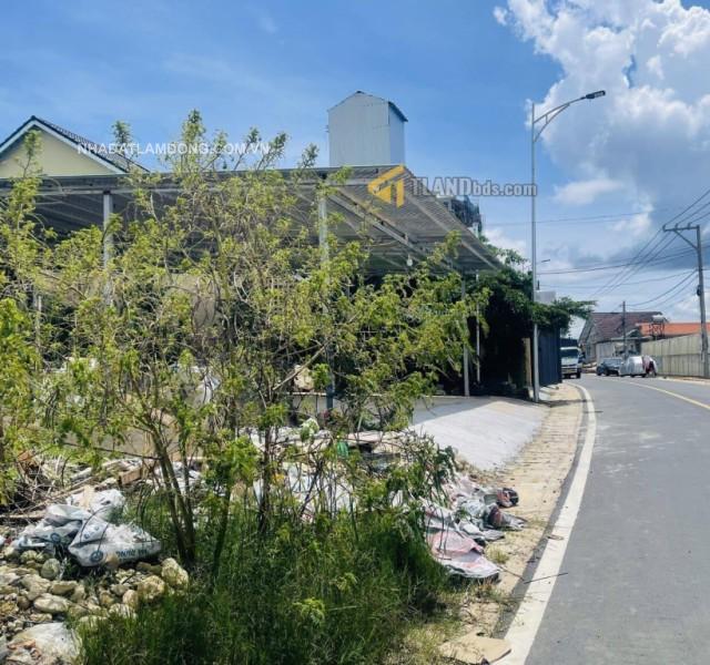 Bán đất mặt tiền sổ riêng Ngô Tất Tố, Phường 8, TP Đà Lạt