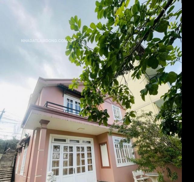 Villa sân vườn Khe Sanh, view đồi thông Đà Lạt